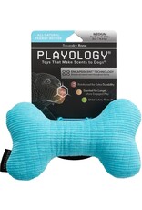 Playology PLAYOLOGY All Natural Peanut Butter Scented Plush Squeaky Bone