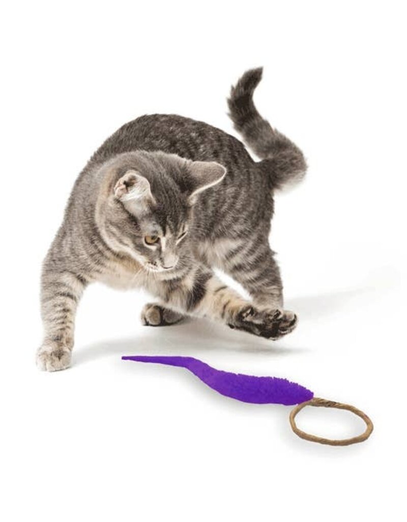 DEZI & ROO A-Lure-Ring Cat Lure Toy