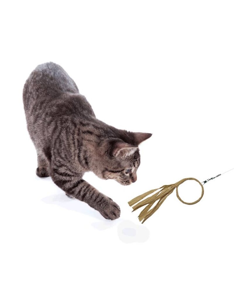 DEZI & ROO Flutter Ring Cat Lure Toy