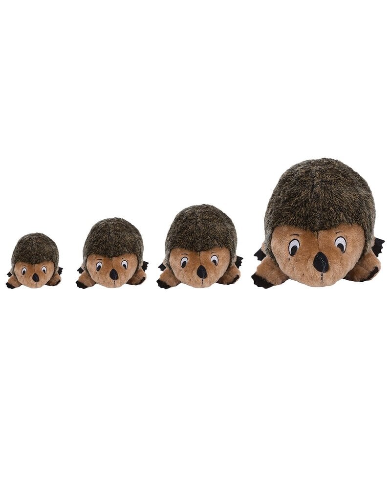 Outward Hound Hide A Raccoon Dog Toy