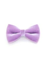 Made by Cleo MADE BY CLEO Cat Bow Tie Velvet Lavender