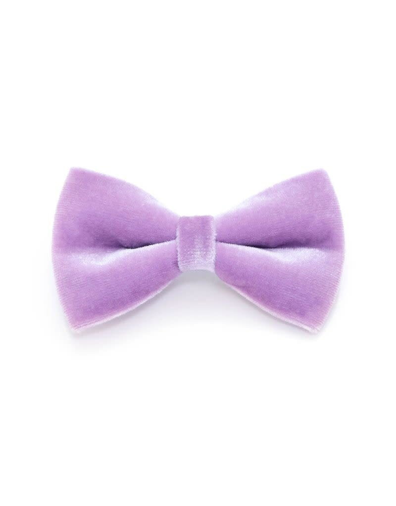 Made by Cleo MADE BY CLEO Cat Bow Tie Velvet Lavender