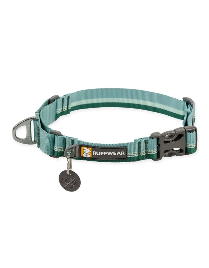 RUFFWEAR RUFFWEAR Web Reaction Martingale Dog Collar with Buckle River Rock Green