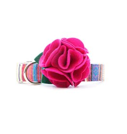 MIMI GREEN MIMI GREEN Hydrangea Dog Collar Flower Rose Petal