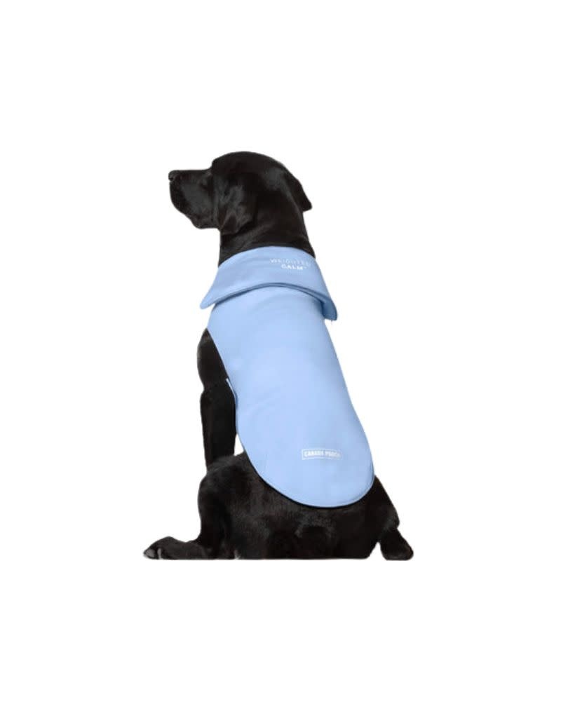 Calming vest discount