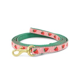 UP COUNTRY UP COUNTRY Small Breed  Lead Strawberry Fields