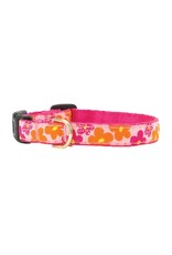 UP COUNTRY UP COUNTRY Teacup Dog Collar Flower Power