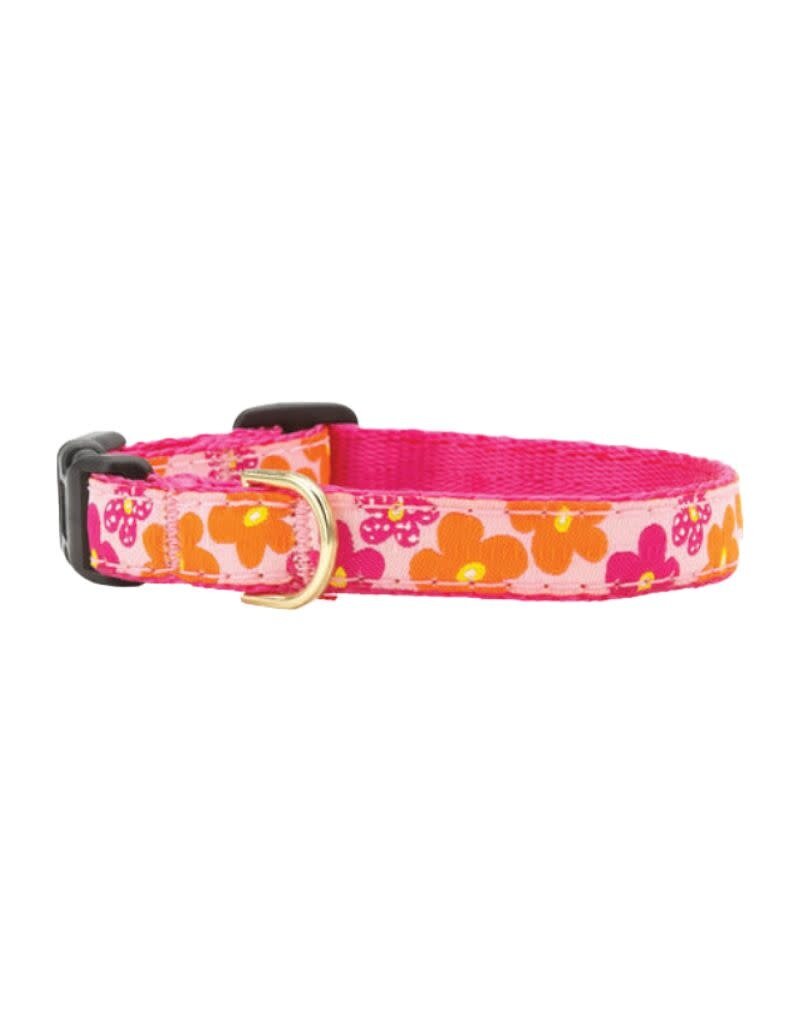 UP COUNTRY UP COUNTRY Teacup Dog Collar Flower Power