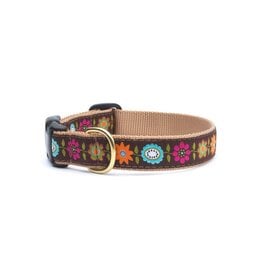 UP COUNTRY UP COUNTRY Teacup Dog Collar Bella Flora