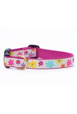 UP COUNTRY UP COUNTRY Spring Fever Dog Collar