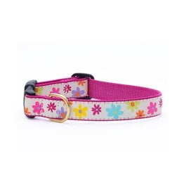 UP COUNTRY UP COUNTRY Spring Fever Dog Collar