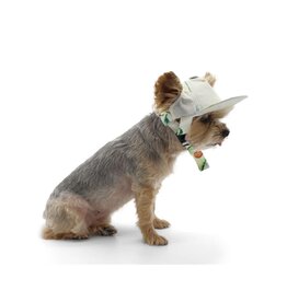 Dogo DOGO Avocado Hat