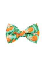 Made by Cleo MADE BY CLEO Cat Bow Tie Clementine Blossom