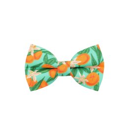 Made by Cleo MADE BY CLEO Cat Bow Tie Clementine Blossom