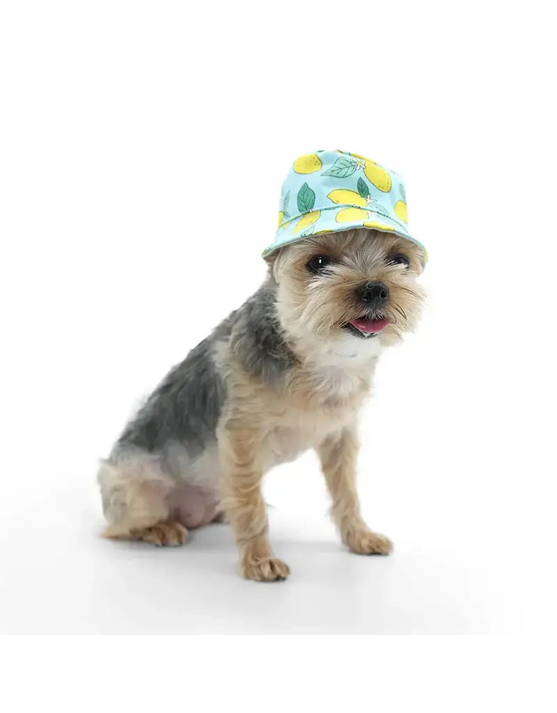 Dogo DOGO Lemon Bucket Hat