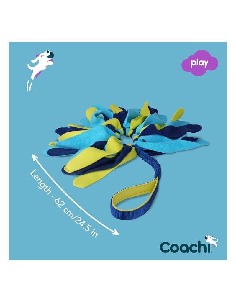 COACHI Tuggi Spider Dog Toy