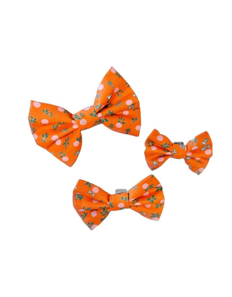 FISH & BONE THE FISH & BONE  Bow Tie Oranges