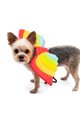 Dogo DOGO Rainbow Wings Costume