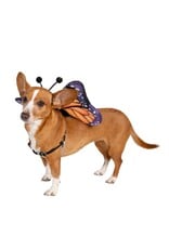 Butterfly Wing & Hat Costume