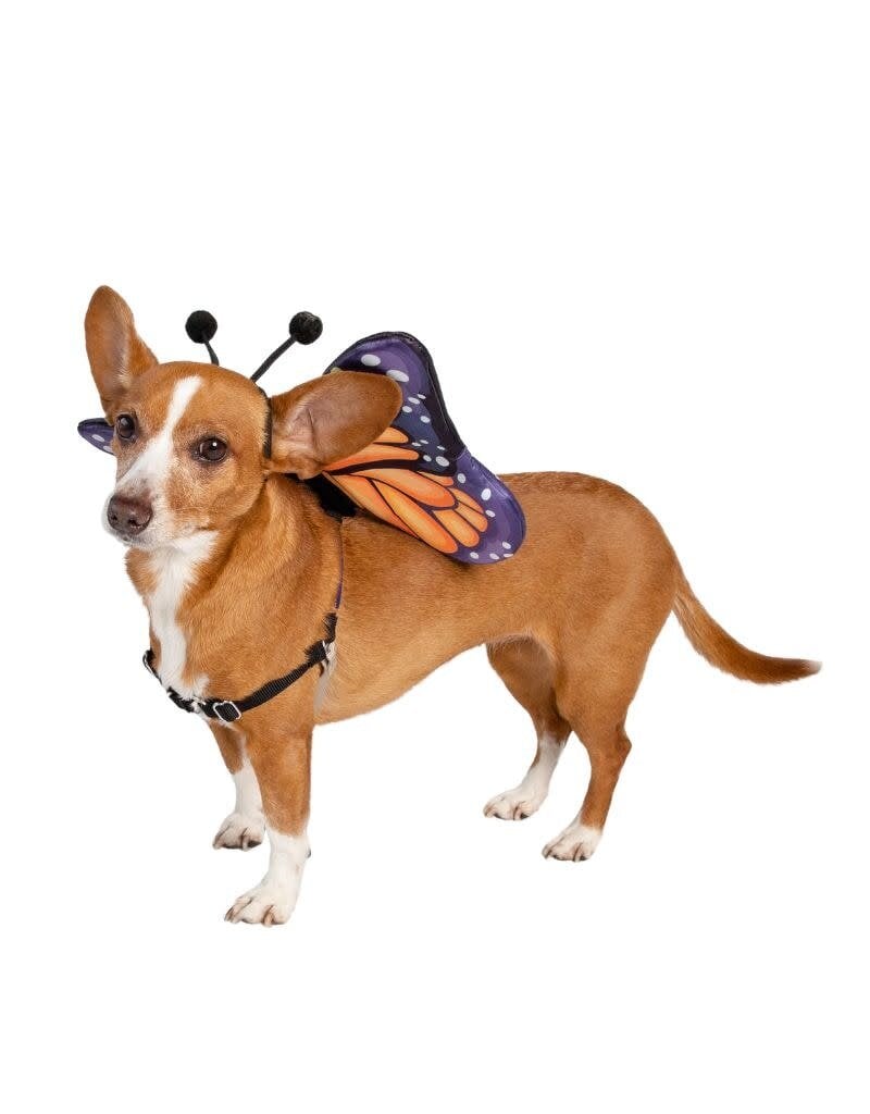 Butterfly Wing & Hat Costume