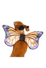 Butterfly Wing & Hat Costume