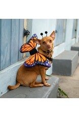 Butterfly Wing & Hat Costume