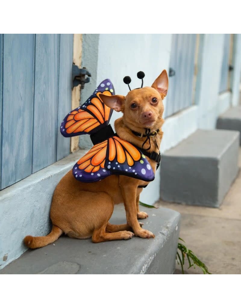 Butterfly Wing & Hat Costume