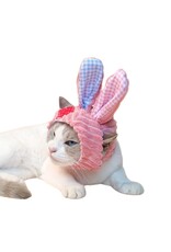 CHEERHUNTING CHEERHUNTING Bunny  Cat Hat