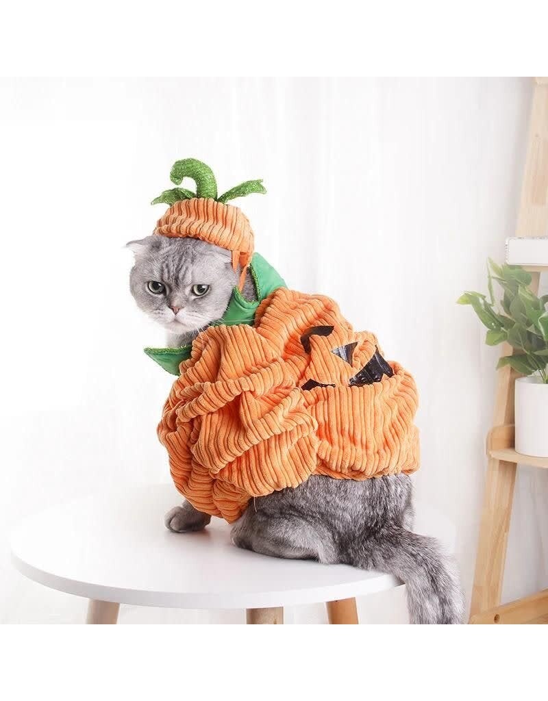 CHEERHUNTING CHEERHUNTING Cat Pumpkin Costume