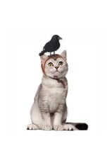 CHEERHUNTING CHEERHUNTING Halloween Cat Headband Raven