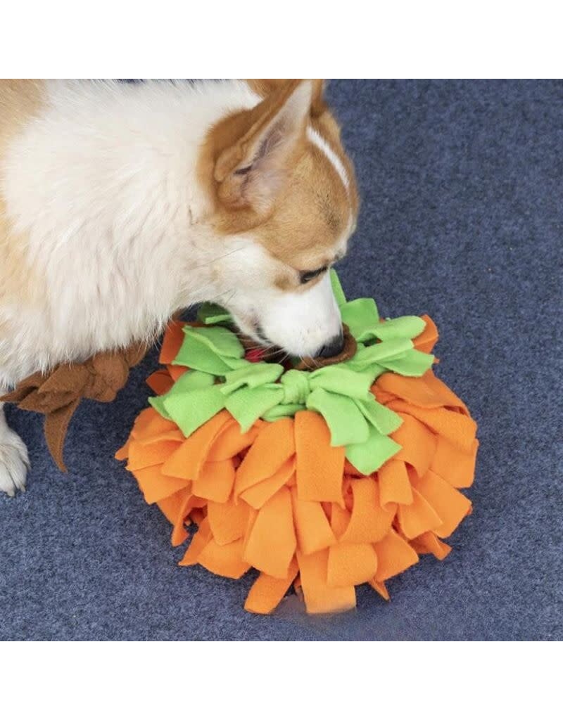 CHEERHUNTING CHEERHUNTING Snuffy Pumpkin Pet Snuffle Ball