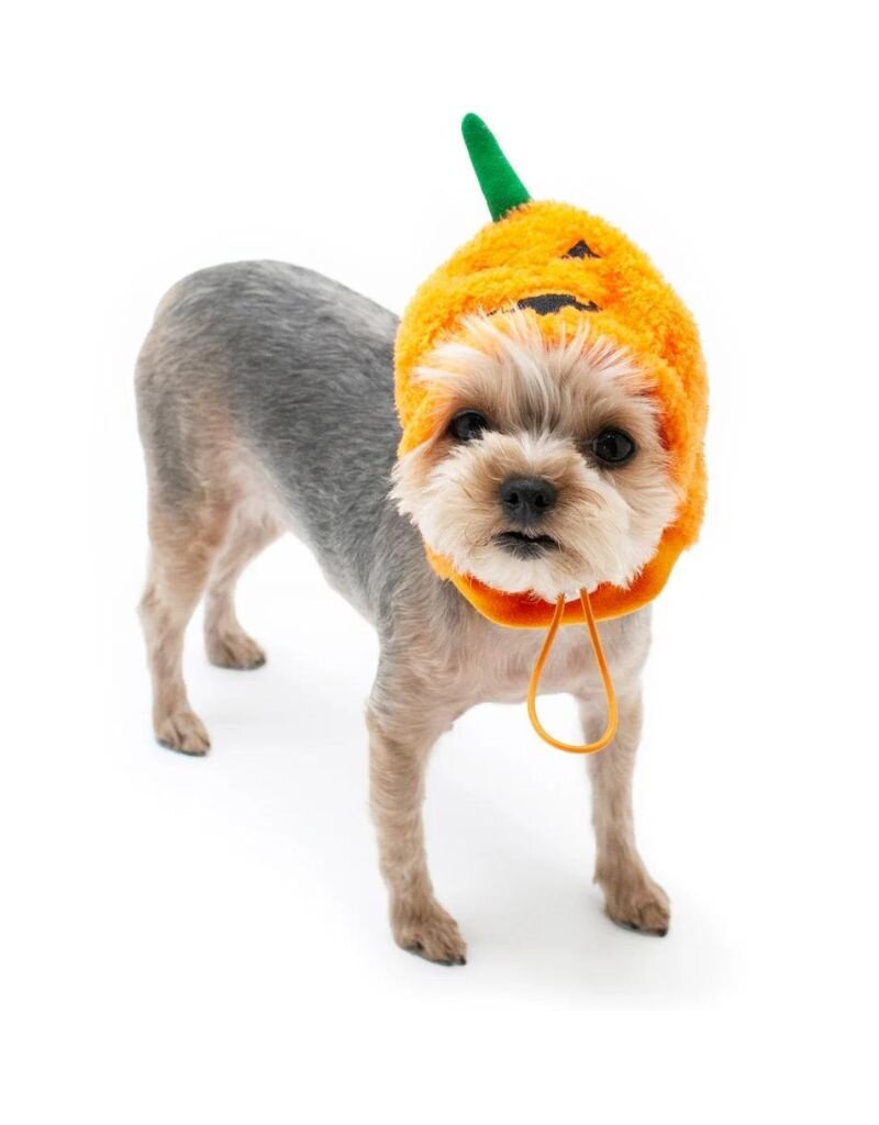 Dogo DOGO Jack-O hat