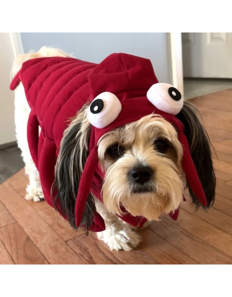 SHOW & TAIL Paws & Claws Dog Costume