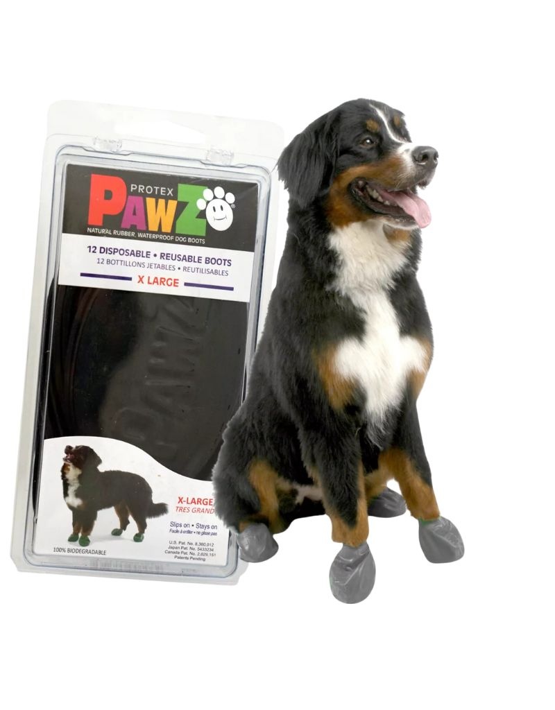 Rubber boots for dogs new arrivals