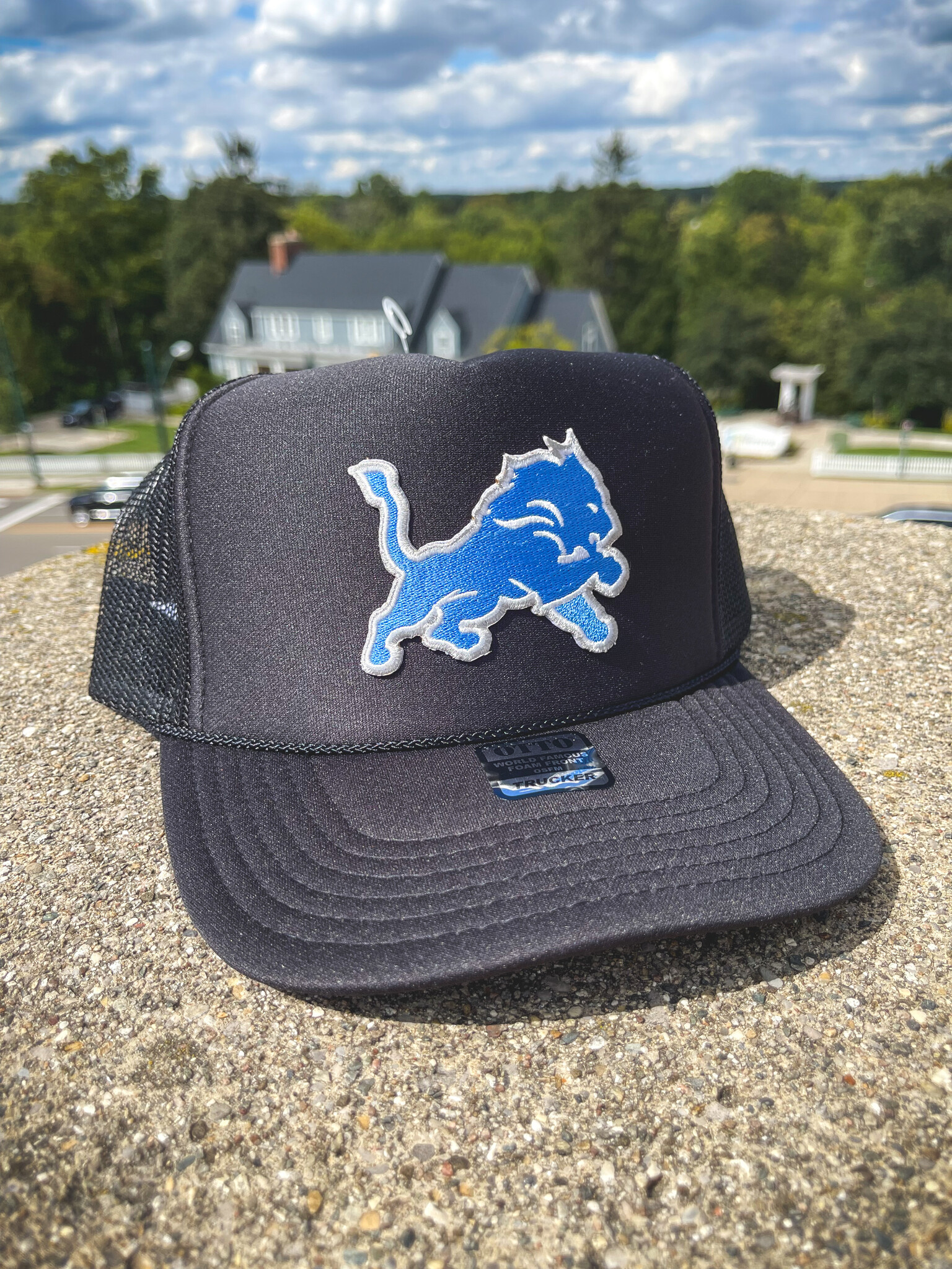 detroit lions hat