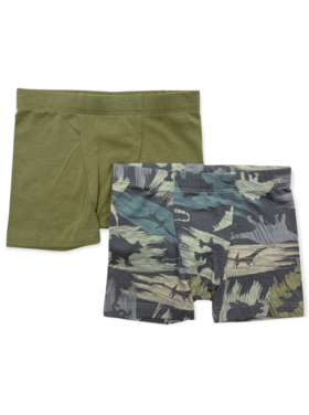 Esme Dinoflage 2-Boxer Pack