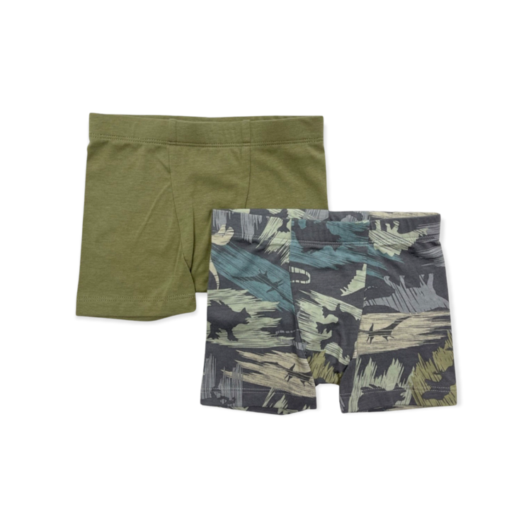 Esme Esme Dinoflage 2-Boxer Pack