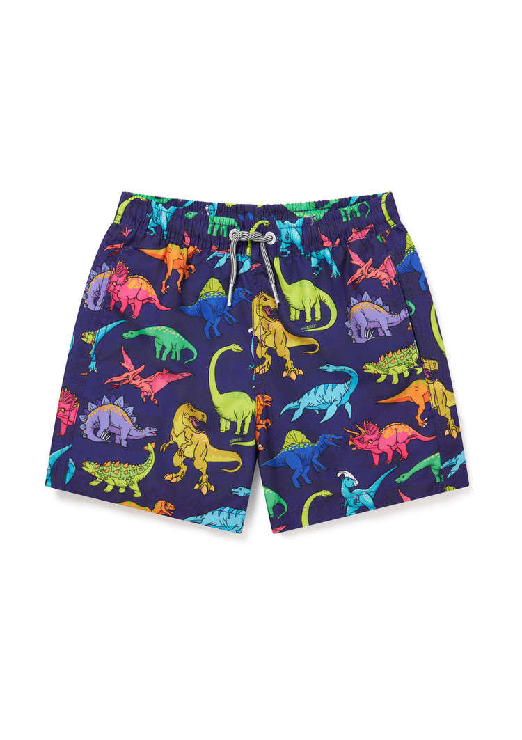 Boardies Boardies Vibrant Dino Swim Shorts