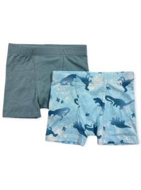 Esme Ombre Dino 2-Boxer Pack