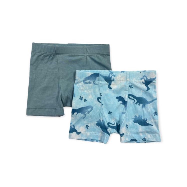 Esme ESME Ombre Dino 2-Boxer Pack