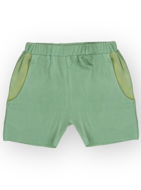 Fairwell Vibe Pocket Short