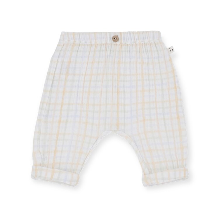 1+ In The Family Naim Pants