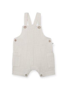 1+ In The Family Roman Overall