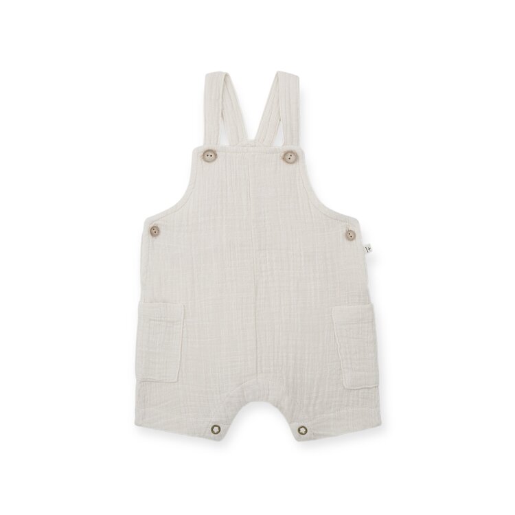 1+ In The Family Roman Overall