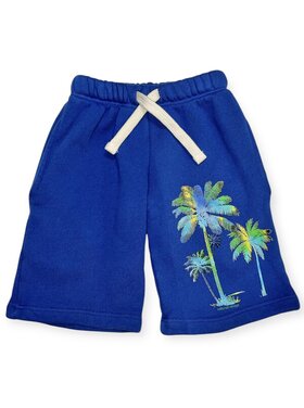 Californian Vintage Sunset Shorts