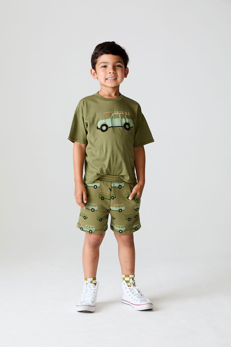 Chaser Beach Day Shorts