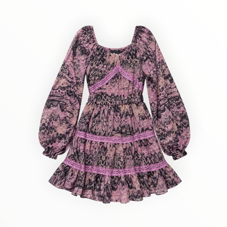 Flowers by Zoe Print Chiffon Lace Dress