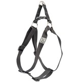 RC Pet RC Pets Step In Harness Medium