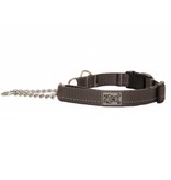 RC Pet RC Pets Training Clip Collar Medium