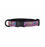 RC Pet RC Pets Kitty Breakaway Collar